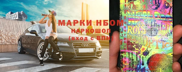 индика Пестово
